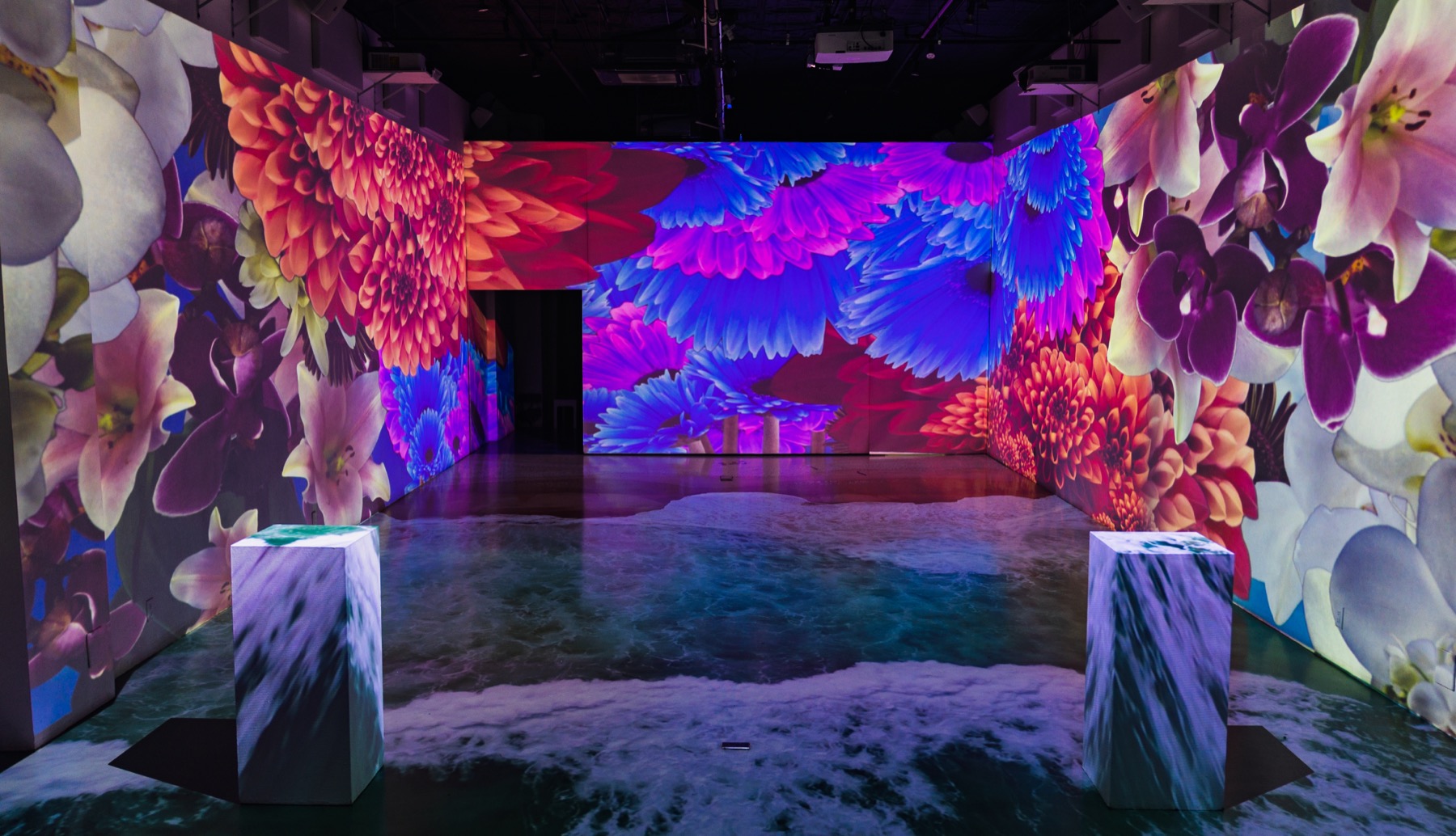 Projected florals across the walls and floor of the Immersive Studio