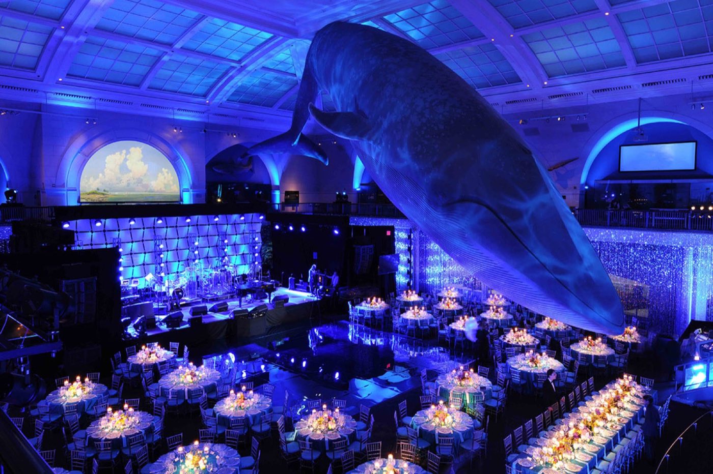 Milstein Hall of Ocean Life set for a seated dinner beneath the suspended blue whale model