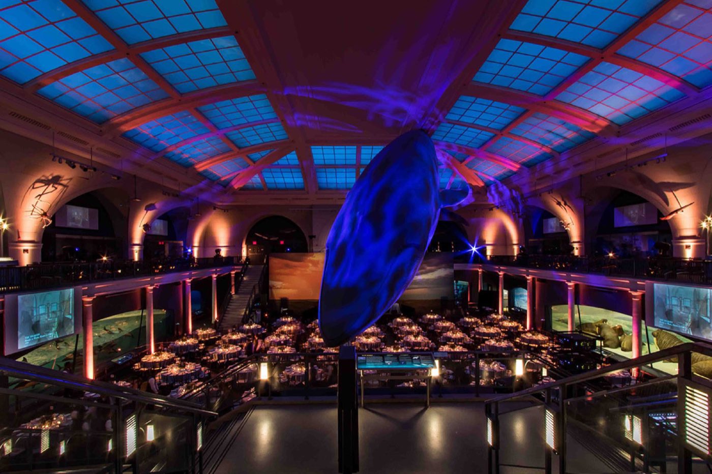 Ocean Life hall balcony dinner tables overlooking the whale model and dioramas
