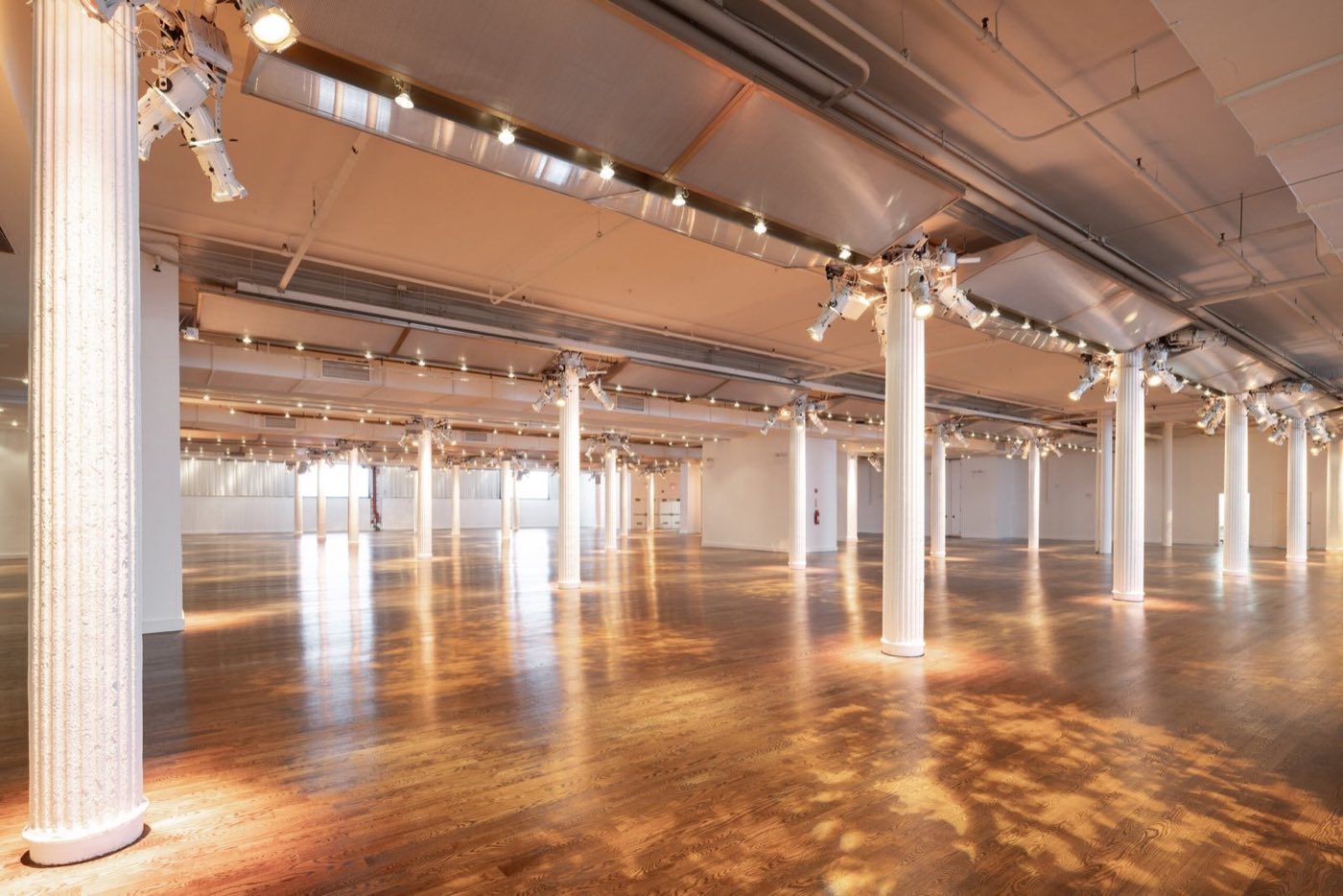 Empty pavilion hall with white columns, wood floor and track lighting