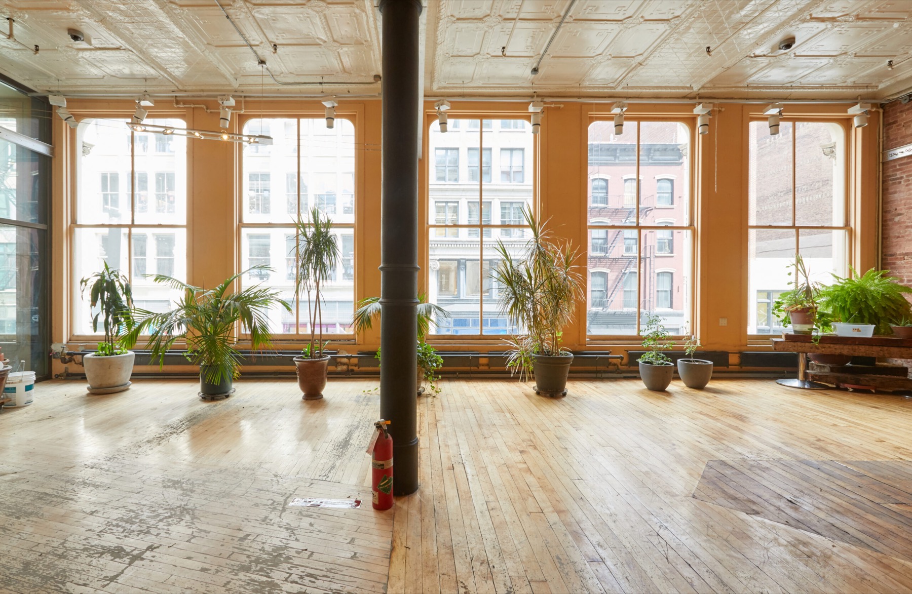 Daylit loft with a wall of tall windows, potted plants and pressed-tin ceiling