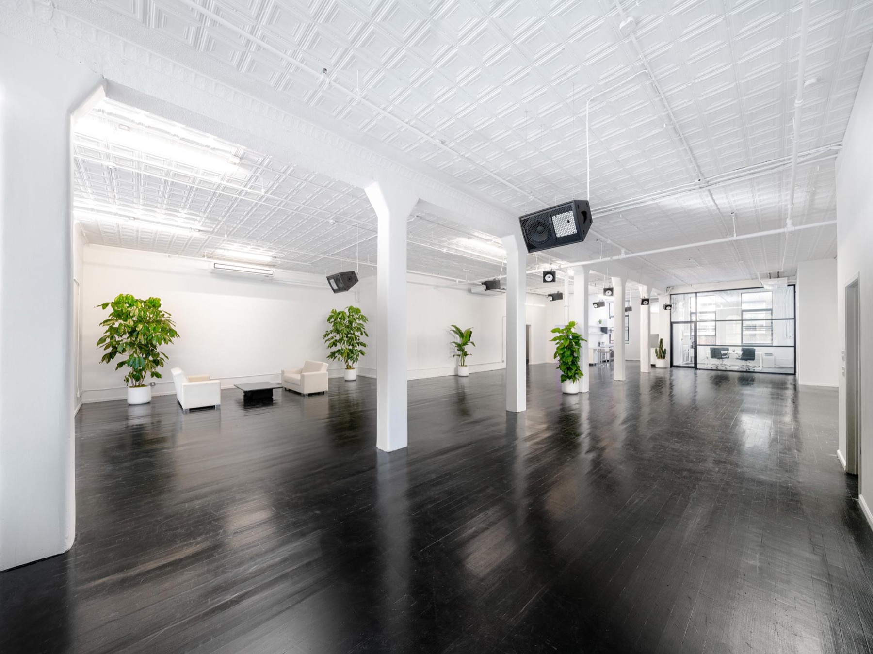 Long column lined loft with pressed tin ceiling, hanging speakers and potted plants